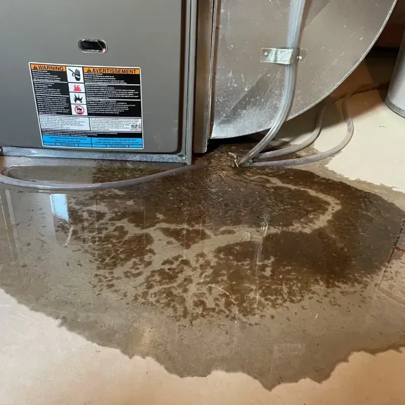 Appliance Leak Cleanup in Oriskany, NY